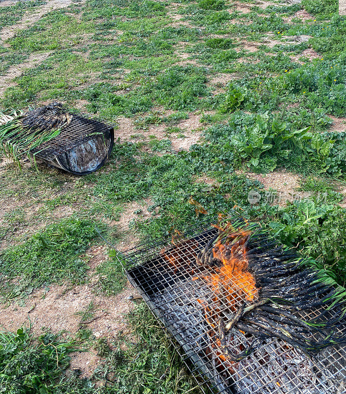 Cooking ‘calçots’ being grilled over a hot fire at home